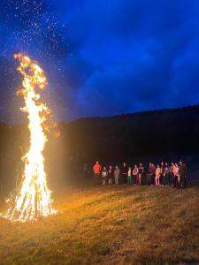 Cabana vânătorului