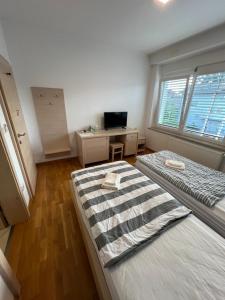 Kolarjeva International House