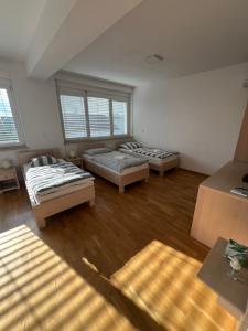 Kolarjeva International House