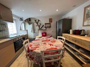 Maisons de vacances Appartement confortable a Gerardmer 40 m² proximite pistes : photos des chambres