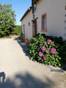 Maisons de vacances Le Verger : photos des chambres