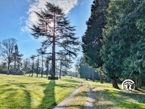 Château de la Roche, 11-12 personnes