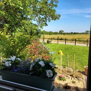 Maisons de vacances Chez Auguste : photos des chambres