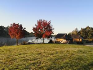 Maisons de vacances Chalet le Gardon : photos des chambres