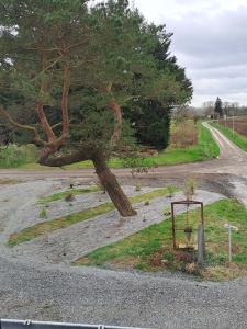 Maisons de vacances Un air de campagne : photos des chambres