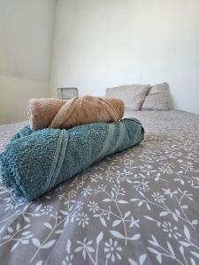 Appartements T2 Vue Cathedrale Centre ville : photos des chambres