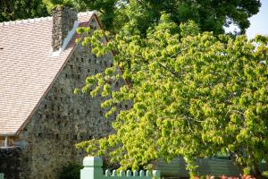 Maisons de vacances Le Presbytere : photos des chambres
