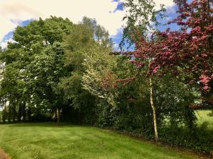 Maisons de vacances Le Bas Pineau : photos des chambres