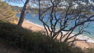 Toulon T2 4 couchages