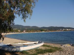 Hotel Petunia Halkidiki Greece