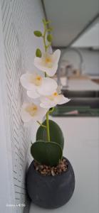 Vasilis Happy apt