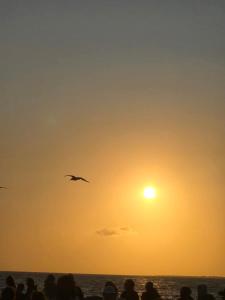 directe plage à moins de 100m
