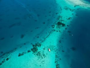 North Ari Atoll, Maldives.