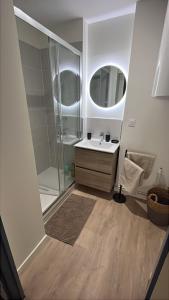 Appartements Le Delcasse 1 lit double 1 canape-lit double : photos des chambres