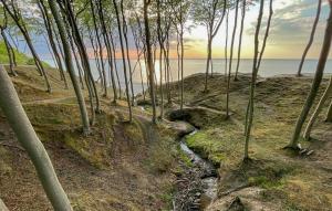 2 Bedroom Beautiful Home In Wytowno