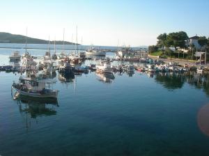 Hotel Petunia Halkidiki Greece