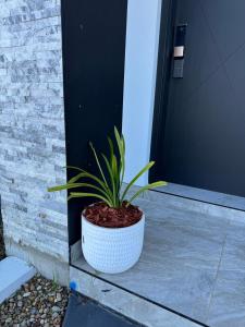 Brand New Designer House