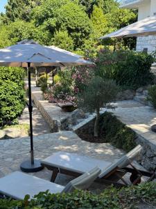 Simple beachfront rooms Bego