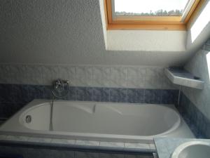 Apartment Vcelakov