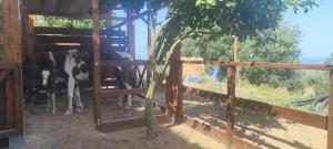 Corte Degli Ulivi Resort