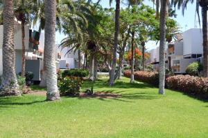 ARMONIA en Frontera-Primavera