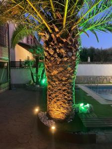 TOLEDO ENCANTADO Piscina y BBQ privada 2,5 km de Puy du Foy