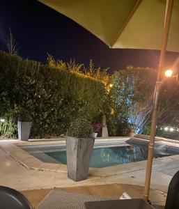 B&B / Chambres d'hotes La Papaline de Caroline : Appartement - Vue sur Piscine 