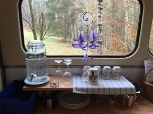 Ubytování v divočině