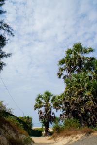 Ocean Whisper Goa