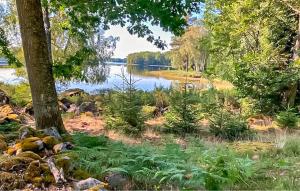 Amazing Home In Holmsjö