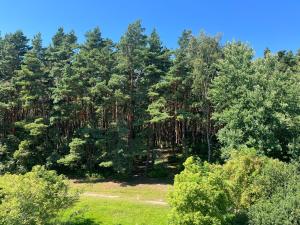 MiMi Palanga - Self Check-in