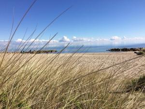 Ferienwohnung "kum rin"