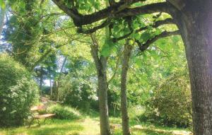 Maisons de vacances Le Moulin De Saint-Georges : photos des chambres