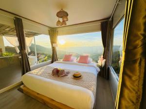 ชิวชิวแคมป์ ภูชี้ฟ้า