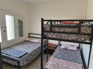 قرية شاطئ الفيروز الساحل الشمالي