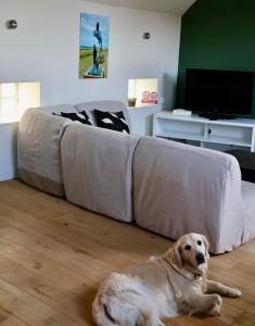 Appartements La maree : photos des chambres