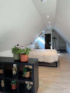 Finca Nova - Logie met privé sauna