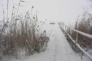 Ferienwohnungen Appartements - Ferienhaus Müritzstern