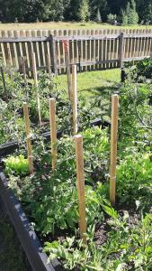 Dawno Temu - Agroturystyka Premium