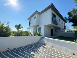 Villa Ant