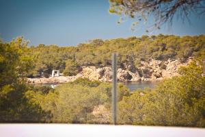 Exquisite 6 Bedroom Home in San Jose, 1068