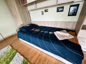 The Salin House