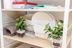 Towa City Coop Nakamura