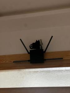 Visit Chamal - Costa Family