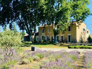 Mas des Branches dOr