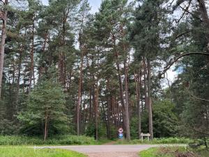 Sea & Pinewoods Stay - Nemirseta Beach Apartment Palanga