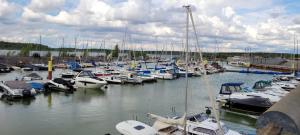 Wunderschöne Wohnung am See auch für Familien