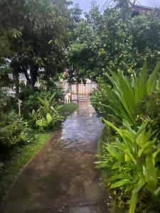 Chiang Mai Slow time