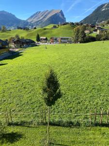 Appartement Holderstauden