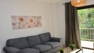 Apt El Molino 1